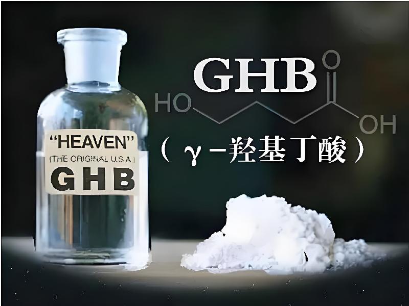 成人催药迷用品864-gWe型号